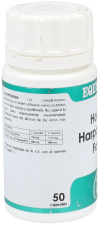 Holofit Harpagophytum Forte 50 Capsules