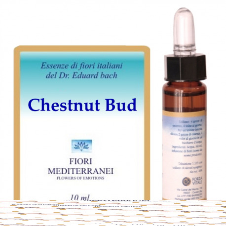 Fm 7 Chesnut Bud 10 ml