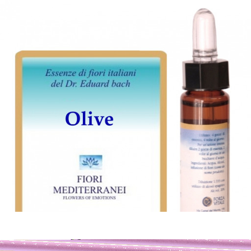 Fm 23 Olive 10 ml