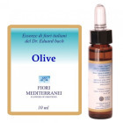 Fm 23 Olive 10 ml