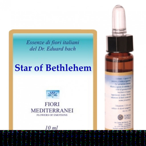 Fm 29 Star Of Bethlehem 10Ml