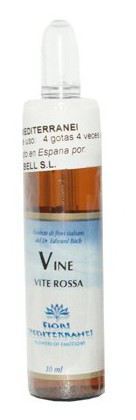 Fm 32 Vine 10 ml