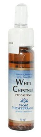 Fm 35 White Chestnut 10 ml