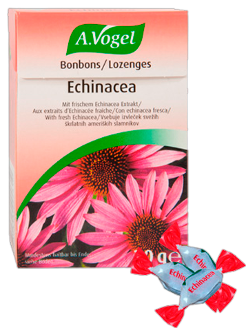 Echinacea Candies Box 30 gr