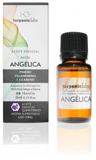 Terpenic Lab Angelica Essential Oil 5 ml