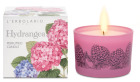 Perfumed Hortensia Candle