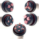 Cellulite Massage Me7711