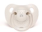Pacifier Evolution Anatomical Gray Bear 0 to 6 Months