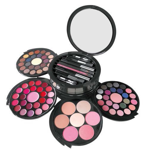 Professional Color Makeup Case