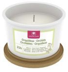Classic gelatto candle Crystalline orchids
