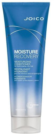 Joico Moisture Recovery Conditioner 250 ml