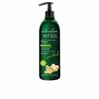Super Food Blueberry Antioxidant Body Lotion 500 ml