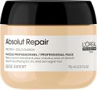 Absolut Repair Mask