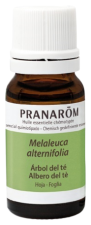 Tea Tree Essential Oil Tea Tree Essential Oil