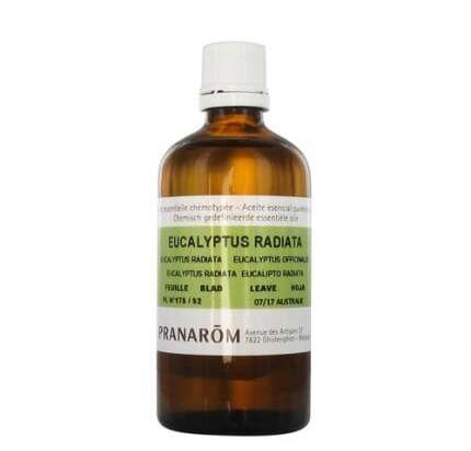 Organic Eucalyptus Radiata Essential Oil