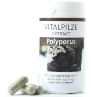 Pilze Wohlrab Polyporus 60 Capsules