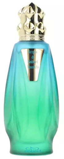 Nabeel Acqua Di Absolute Eau de Parfum 100 ml