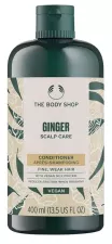 Ginger Conditioner