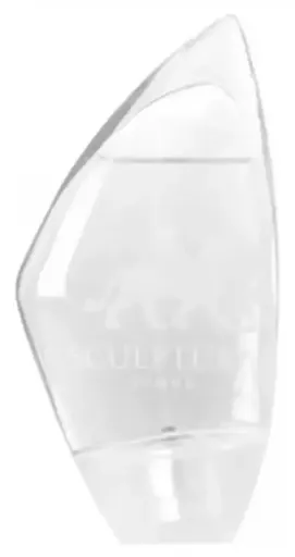 Sculpture Homme Eau de Toilette 100 ml